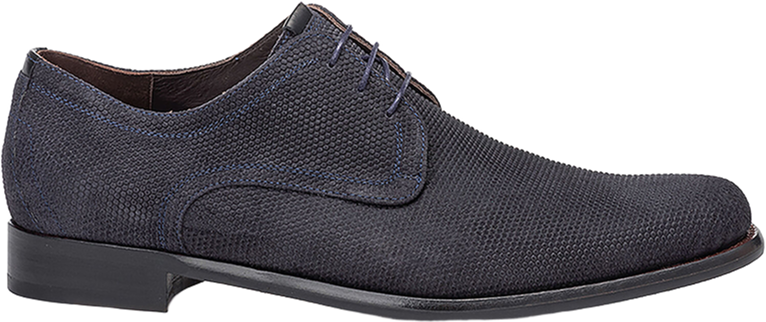 Floris Van Bommel De Draver