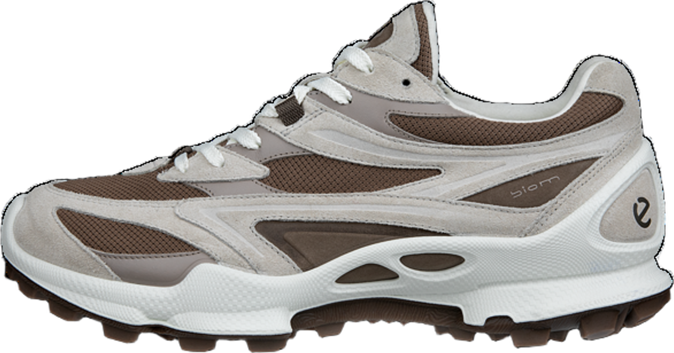 Ecco Biom C-Trail