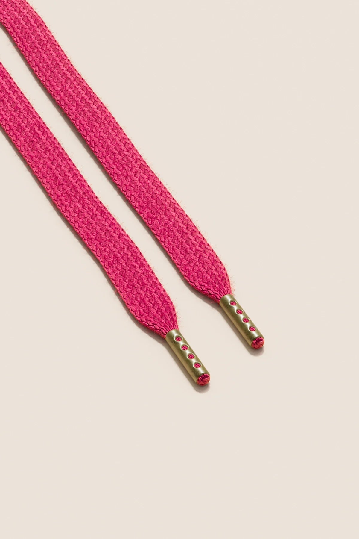 El Naturalista REDES - Rosa Cerise