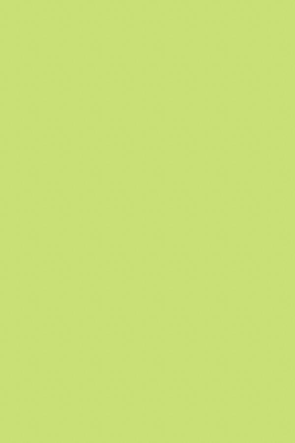 Verde Pastello- 3mm Piatto Cerato Lacci